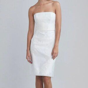 Amsale Rose Fil Coupe Fit-&-Flare Dress Ivory Sz 2